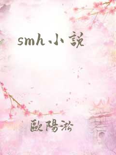 smh小说