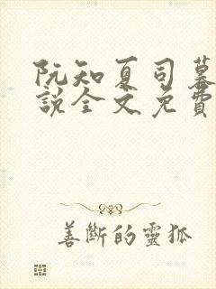 阮知夏司暮寒小说全文免费无弹窗