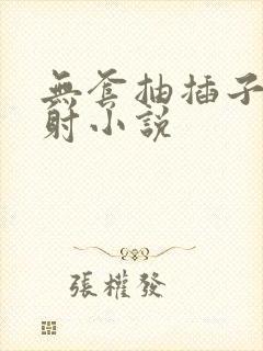 无套抽插子宫内射小说