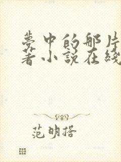 梦中的那片海原著小说在线阅读