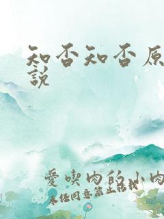 知否知否原著小说