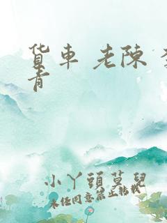货车 老陈 李青
