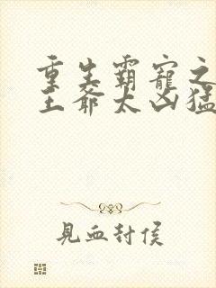 重生霸宠之摄政王爷太凶猛