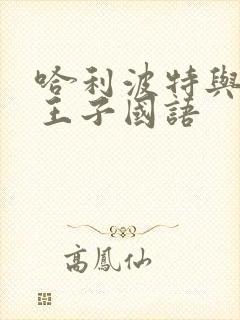 哈利波特与混血王子国语