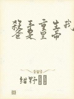 杀手重生我的老爸是皇帝