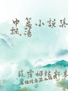 中篇小说集随风飘荡