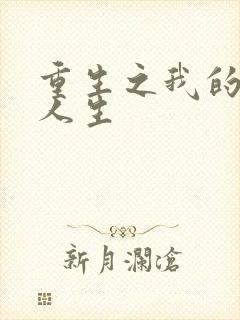 重生之我的抄袭人生