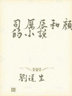 司厉辰和颜辞兮的小说