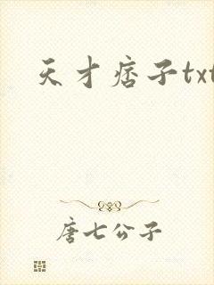 天才痞子txt