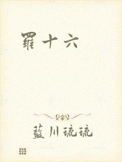 罗十六