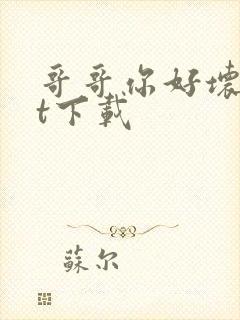 哥哥你好坏txt下载