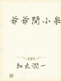 爷爷开小米的包