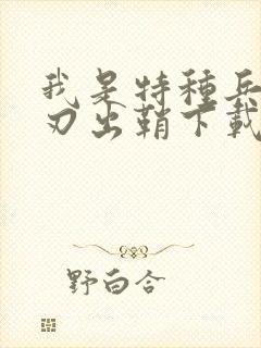 我是特种兵之利刃出鞘下载