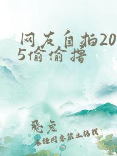 网友自拍2015偷偷撸