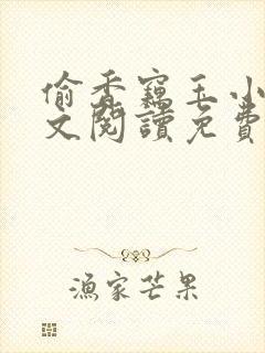 偷香窃玉小说全文阅读免费