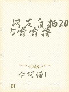 网友自拍2015偷偷撸