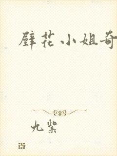 壁花小姐奇遇记