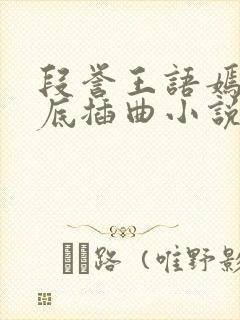 段誉王语嫣在井底插曲小说