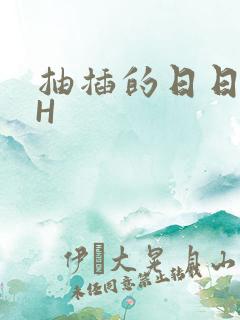 抽插的日日液液H