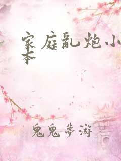 家庭乱炮小说全本