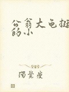 公翁大龟挺进我的小
