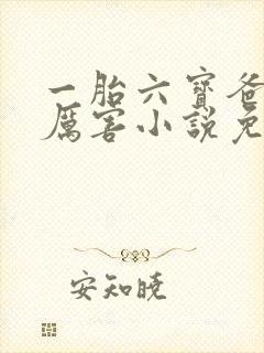 一胎六宝爸比好厉害小说免费阅读