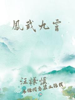凤武九霄
