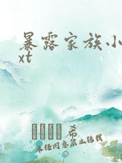 暴露家族小说txt