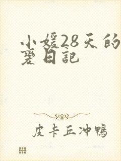 小媛28天的剧变日记