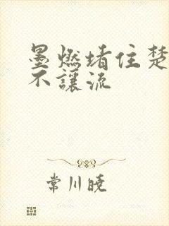 墨燃堵住楚晚宁不让流