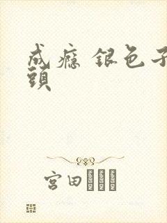 成瘾 银色子弹头