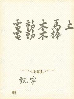 电动木马上两个电动木棒