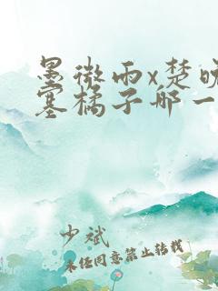 墨微雨x楚晚宁塞橘子哪一章