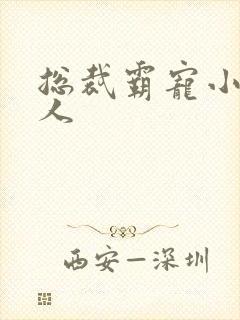 总裁霸宠小小女人