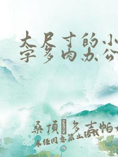 大尺寸的小黄说字多肉办公室作文