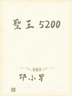 圣王 5200