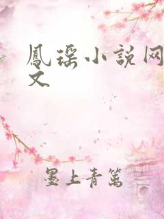 凤瑶小说网高辣文