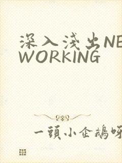 深入浅出NETWORKING