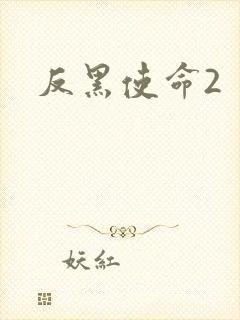 反黑使命2