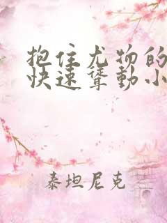 抱住尤物的翘臀快速耸动小说