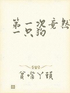 第一次竟然给了一只狗