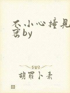 不小心撞见的秘密by