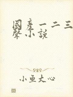 国产一二三区有声小说