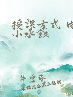 授课方式 肉馅小水饺