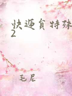 快递员特殊待遇2