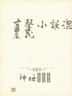 有声小说混世小农民