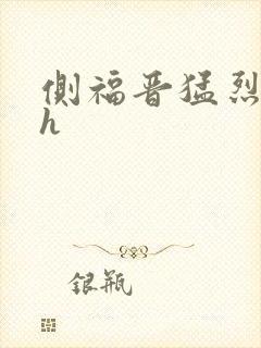 侧福晋猛烈顶弄h