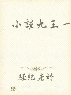 小说九王一后