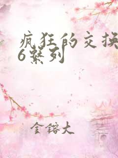 疯狂的交换1一6系列