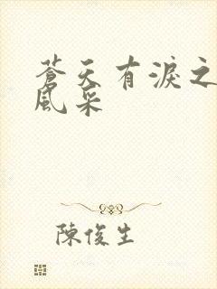 苍天有泪之军人风采